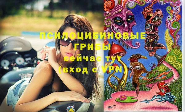 бошки Абаза