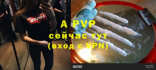стаф Абинск