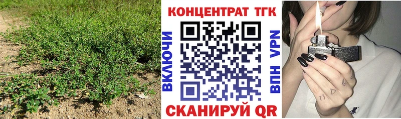 ТГК вейп  kraken tor  Чулым 